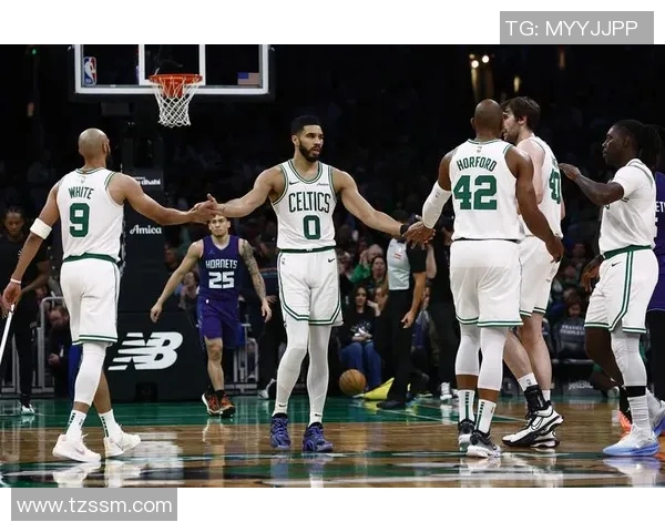 奇才与凯尔特人激战中多名球员被罚出场引发争议