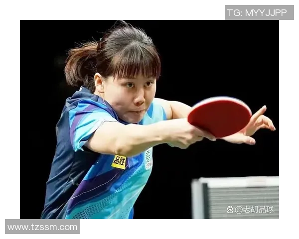 太阳与火花的历史交锋记录分析与战绩对比