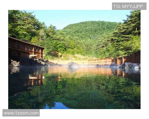 岐阜与群马温泉的魅力对决探秘日本温泉文化之旅