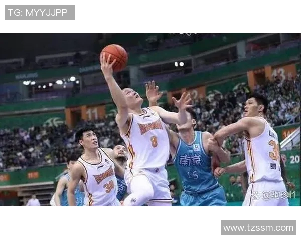 2004年NBA总决赛魔术队与森林狼队的精彩对决回顾与分析