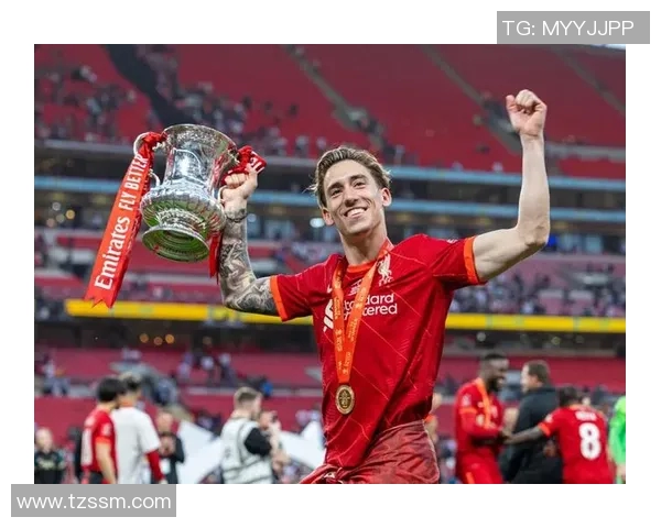 狼队与利物浦精彩对决直播地址分享及观看指南